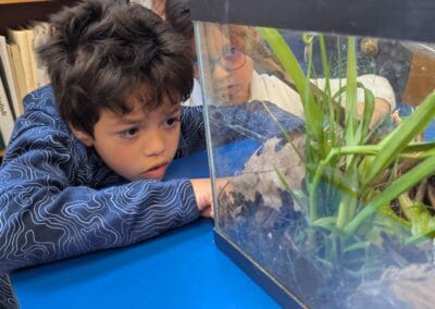 Grade 2 explored the life cycle of snails.