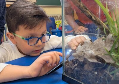 Viewing the snail hatchling with the help of a magnifying glass.