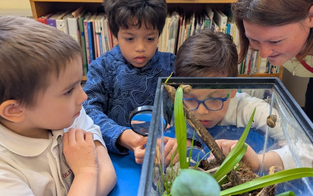Beyond the Curriculum