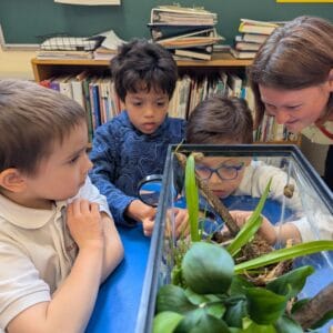 Grade 2 class looking at their snail terrarium.